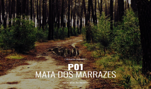 Mata_dos_Marrazes_d1.png